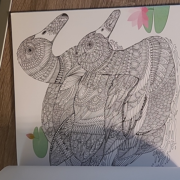 The Aviary Bird Portraits To Color, 32 pages, NEW - Picture 3 of 13